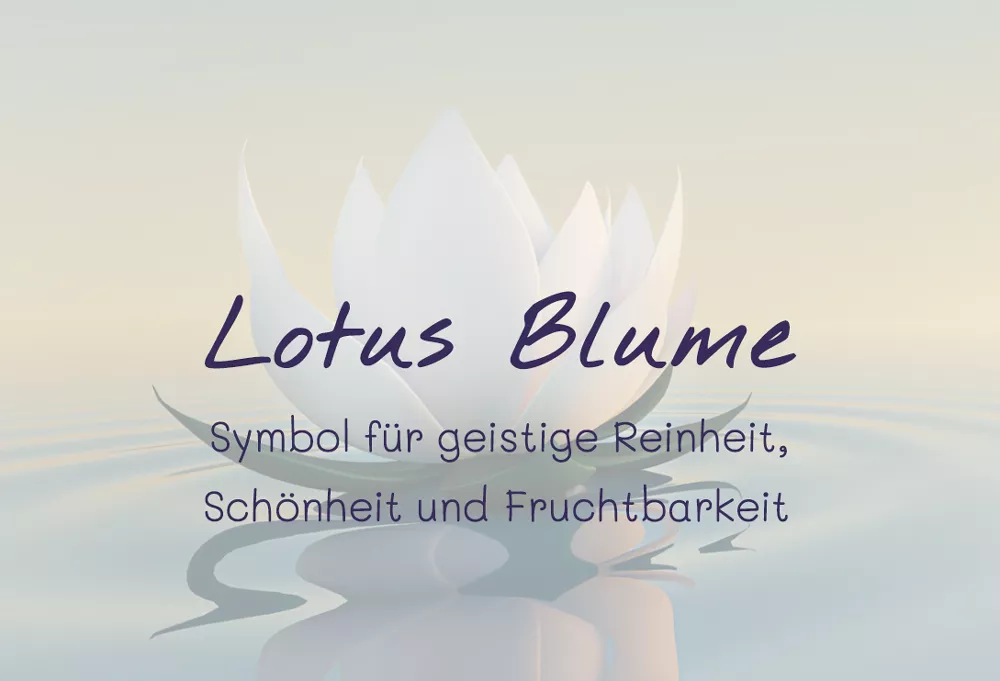 Die Lotus Blume steht als Symbol für geistige Reinheit, Schönheit und Wohlbefinden